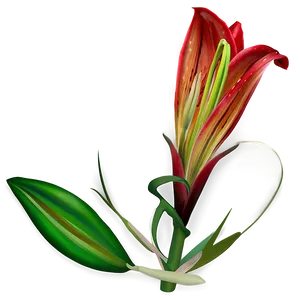 Lily Flower Seed PNG 06272024 PNG
