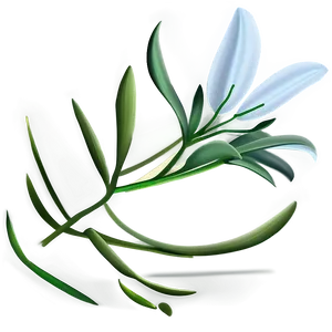 Lily Flower Seed PNG Msg78 PNG