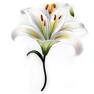 Lily Flower Tattoo Design PNG Nmb PNG