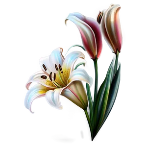 Lily Flower Tattoo Design PNG Xkh51 PNG