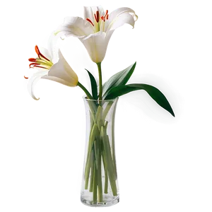 Lily Flower Vase Png 06272024 PNG image