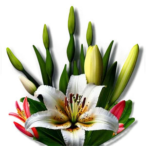 Lily Flower Wallpaper PNG 82