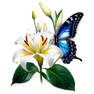 Lily Flower With Butterfly PNG Bmi PNG
