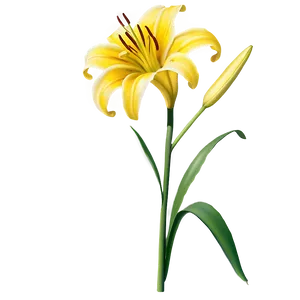 Lily Flower With Butterfly PNG Gsv
