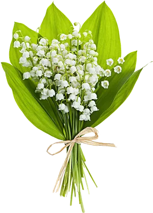 Lilyofthe Valley Bouquet PNG image