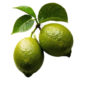 Lime Farm PNG Wcu PNG