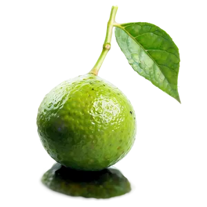 Lime Oil PNG Cgl77 PNG