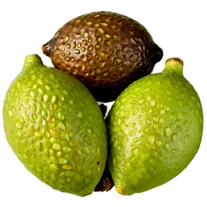 Lime Seed PNG Yru