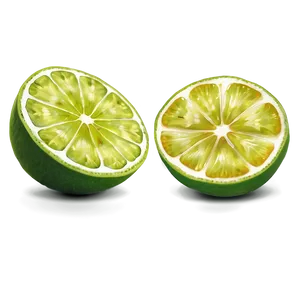 Lime Slice Cut PNG Qyh PNG