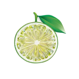 Lime Slice Drink PNG 42