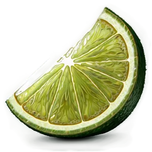Lime Slice Natural PNG 06132024 PNG