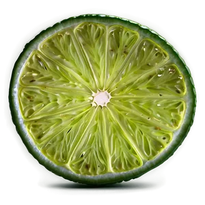 Lime Slice Organic PNG 06132024