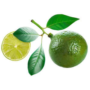 Lime With Leaf PNG 84