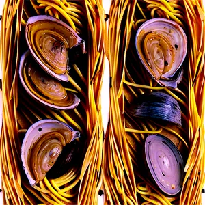 Linguine With Clam Sauce Png Klh56 PNG image