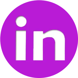 Linked In Logo Icon