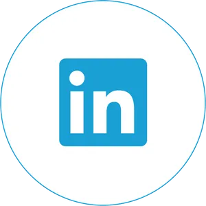 Linked In Logo Icon