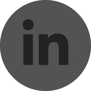Linked In Logo Professional Networking