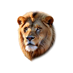 Lion Face C PNG