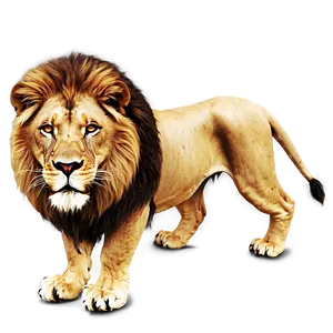 Lion Face Clipart PNG 06122024