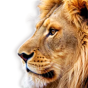 Lion Face Clipart Png 87 PNG image