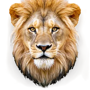 Lion Face D