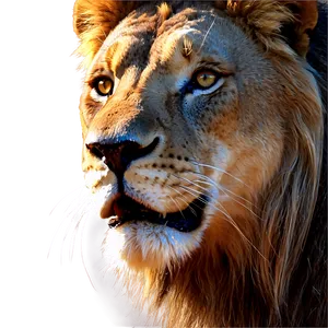 Lion Face Fantasy Art Png 64 PNG image