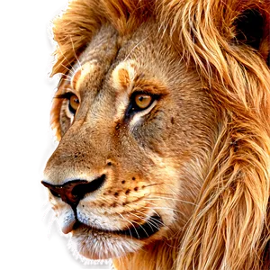 Lion Face Graphic Png Nqv PNG image