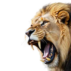 Lion Face Roar Png Owe PNG image