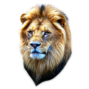 Lion Facial Expression PNG 06122024 PNG