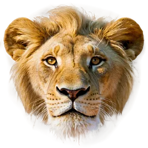Lion King Inspired Face PNG 72 PNG