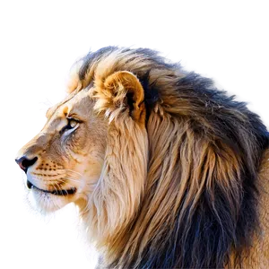 Lion Of Judah Ascendant Png Cpy PNG image