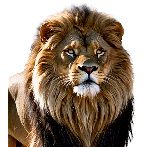 Lion Of Judah C PNG image