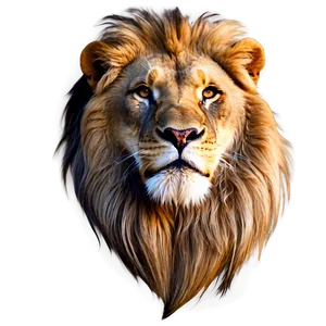Lion Tattoo PNG 6