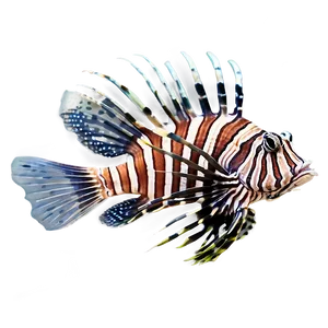 Lionfish Aquarium PNG 47