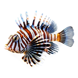 Lionfish Aquarium PNG Bhe