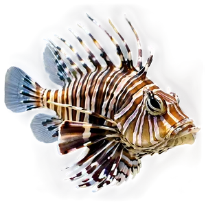 Lionfish Close-up PNG 06292024 PNG