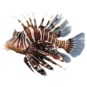 Lionfish Close-up PNG 06292024 PNG