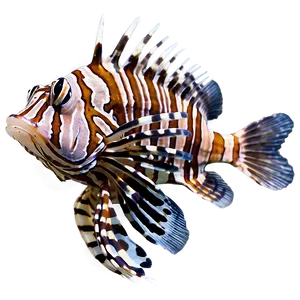 Lionfish Close-up PNG Mse PNG