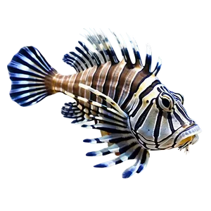 Lionfish Conservation PNG 38