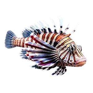 Lionfish Danger PNG 06292024