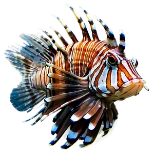Lionfish Danger PNG Mbs