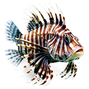 Lionfish Danger PNG Nbm