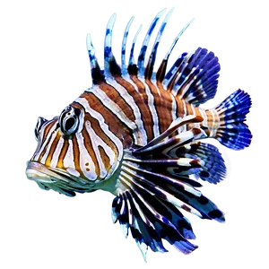 Lionfish Habitat PNG Cxu