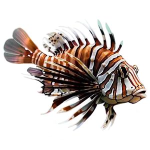 Lionfish Illustration Png Wkx5 PNG image