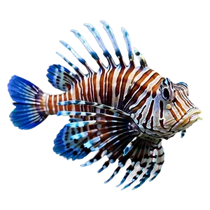 Lionfish In Blue Water PNG Did