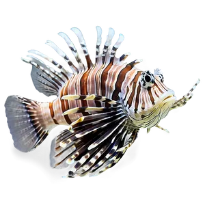 Lionfish In Coral Reef Png 10 PNG image