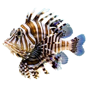 Lionfish In Natural Habitat PNG 06292024