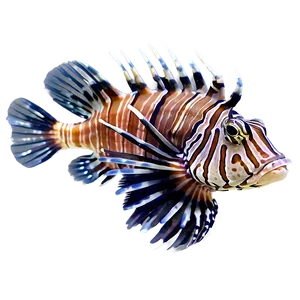Lionfish In The Sea PNG 17 PNG