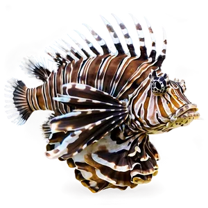 Lionfish Invasion PNG Whm PNG