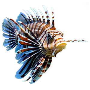 Lionfish Marine Life PNG 89 PNG